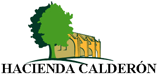 Logo de Hotel Calderón